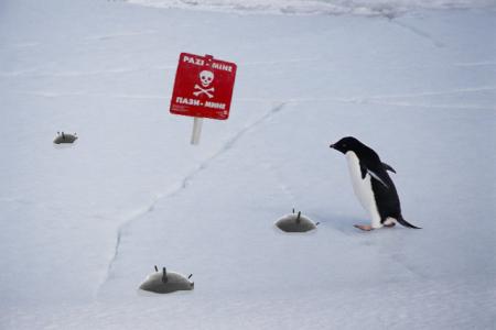 jo le pinguin -------LE FILM-----